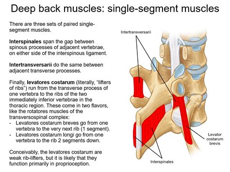 AltonDooley (@AltonDooley@mstdn.social) - Mastodon 🐘