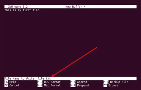 How to Write File in Nano 的图像结果
