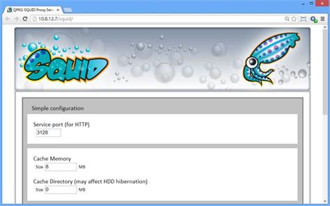 Image result for Squid Cache