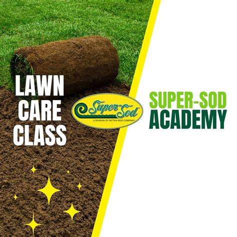 Lush Lawns 101: Installation & Seasonal Care for Spring & Summer ...