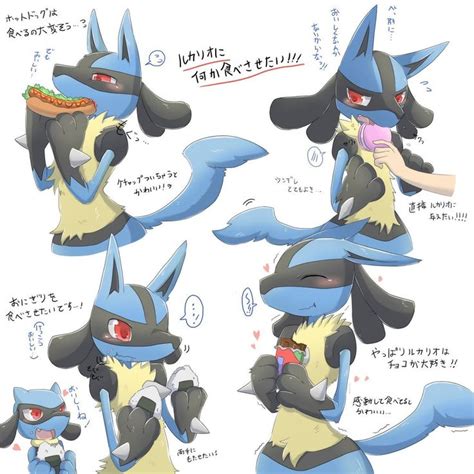 Pin de Justin Fogg en Lucario | Fotos de pokemon, Lucario pokemon ...