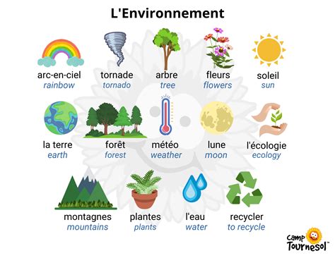 Useful French Vocabulary: The Environment