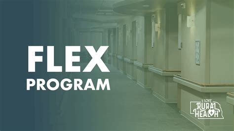 Image result for Flex Program