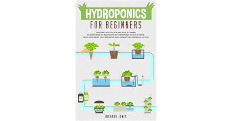 Basic Hydroponics for Beginners 的图像结果