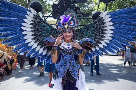 Exotic Danxce 的图像结果