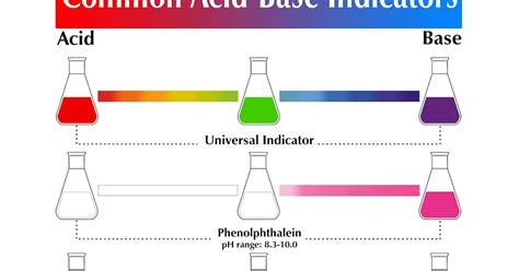 Image result for Acid-Base Indicators Examples