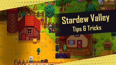 20+ STARDEW VALLEY Tips & Tricks For Beginners In 2025