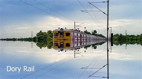 DCEmu Local Train 的图像结果