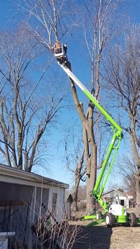 Tree Work in Bentonville/Rogers, Bentonville, Arkansas, USA, 4 June ...