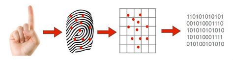 Image result for Biometrics Tutorial