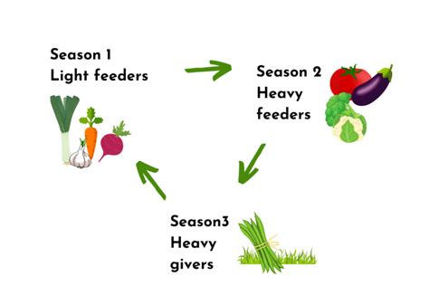 Crop Rotation Chart - Water Wise Veggie Growing