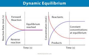 Image result for Dynamic Equilibrium Graph