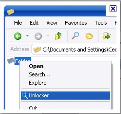 Image result for Unlock Files with Unlocker Software