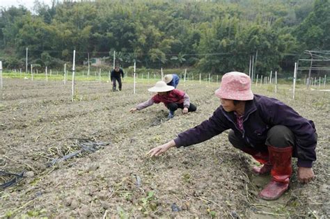忻州：春耕备耕呈现新气象_种植_农业_生产