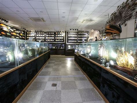 JUMUNJIN MARITIME MUSEUM (2026) All You Need to Know BEFORE You Go ...