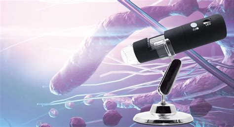 Microscope 1000X Magnification 的图像结果