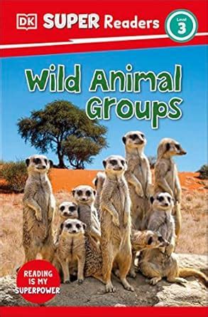 DK Super Readers Level 3 Wild Animal Groups : DK: Amazon.in: Books