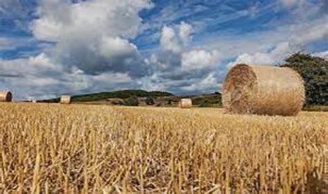 Crop Residue Management