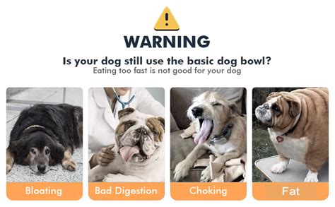 Emily Pets Slow Feeder Dog Bowls Dog Food Bowl with Spoon Prevent ...