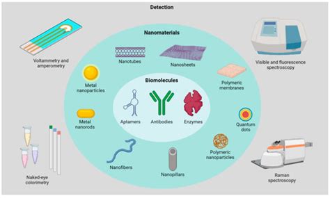 Bio-Tailored Sensing at the Nanoscale: Biochemical Aspects and Applications