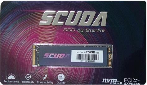 Amazon.in: Buy 256GB NVMe PCIe M.2 Starlite Scuda Solid State Drive ...