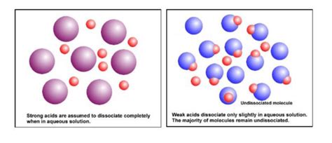 Definition Of Salt Weak Acid And Strong Base Formula
