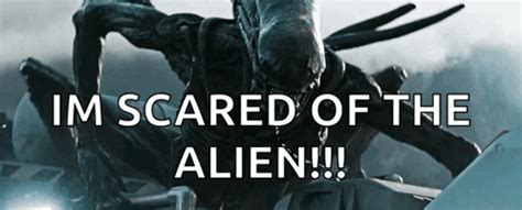 Image result for Alien Rcovenant Meme
