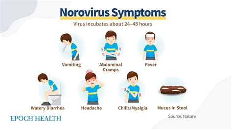 First Symptoms Of Norovirus: What To Expect Immediately
