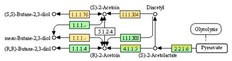 Current Advances in Microbial Production of Acetoin and 2,3-Butanediol ...