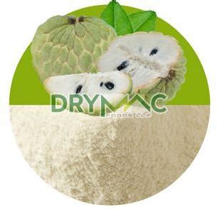 Custard Apple Powder Manufacturer Exporter Supplier from Surendranagar ...