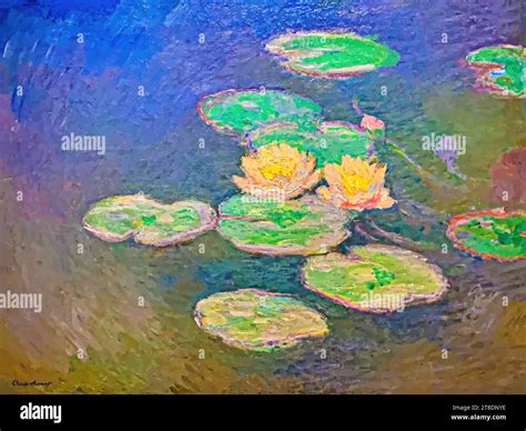 Water lily pond lilies Stock Vector Images - Alamy