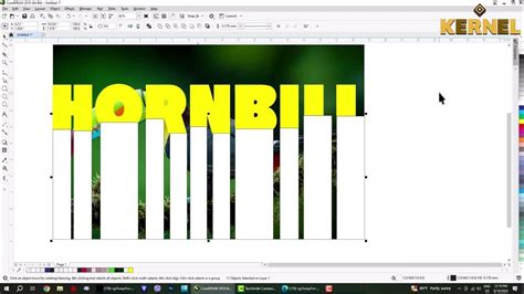 CorelDRAW Lesson 的图像结果