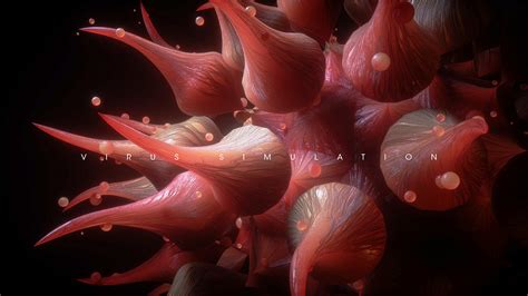 Computer Viruses Simulation 的图像结果