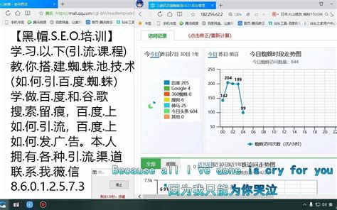 免费搭建蜘蛛池的方法和技巧图解视频教学_哔哩哔哩_bilibili