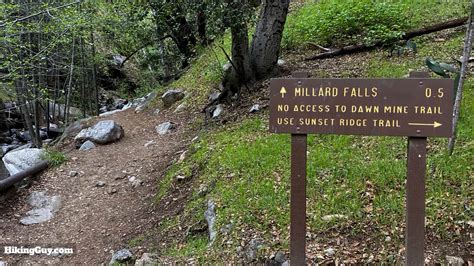 Millard Canyon Falls Hike