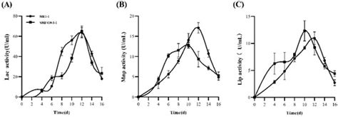 Phlebia formosana Strain SMF410-5-1 and Auricularia cornea Strain ME1-1 ...