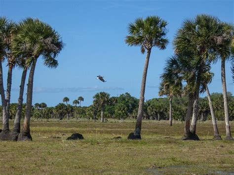 Midway Airboat Rides - What to Know BEFORE You Go (with Photos)