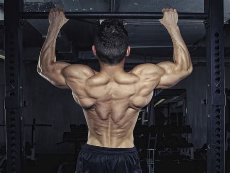 Image result for How to Develop Back Muscles