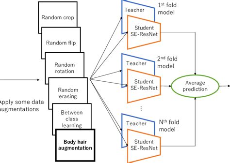 Image result for My Own Classification System