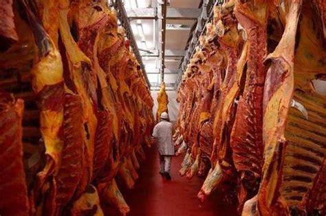 最新：中国进口7.68亿美元牛肉后，巴西却突然关闭2家加工厂？__财经头条