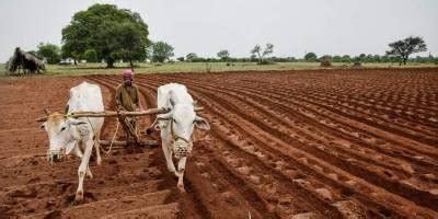 ICAR focus on elevation of Agriculture Technology; benefiting farmers