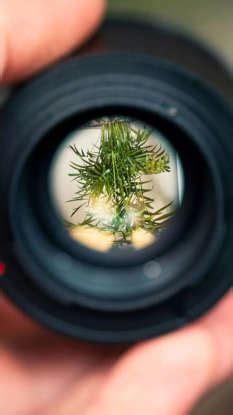 How to train your brain to stay focused