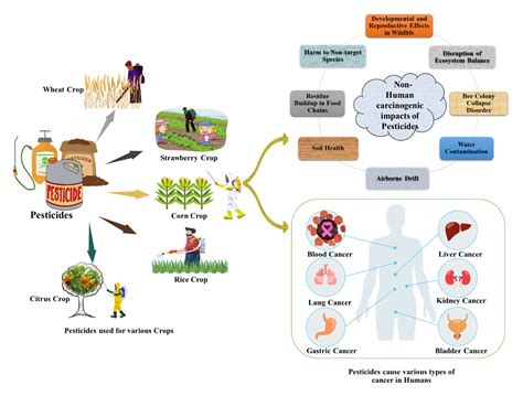 Full article: Crops and people: the dangers and potential benefits of pesticides