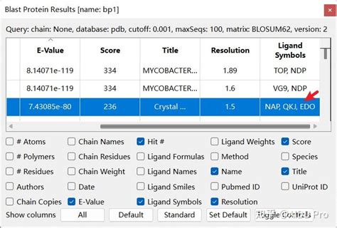 Chimerax SYM Function 的图像结果