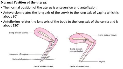0_ANATOMY OF FEMALE REPRODUCTIVE SYSTEM.pptx