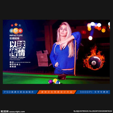 星牌台球桌标准成人中式黑八8台球桌钢库球台案XW117-9A_上海候宇体育用品有限公司