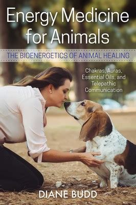 Energy Medicine for Animals eBook by Diane Budd | Official Publisher ...