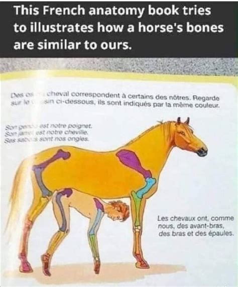 This really belongs here : r/mildlyvagina