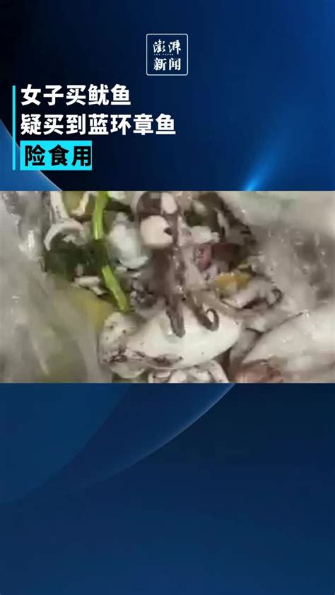 女子疑买到蓝环章鱼险食用，市场方回应正核查_凤凰网视频_凤凰网