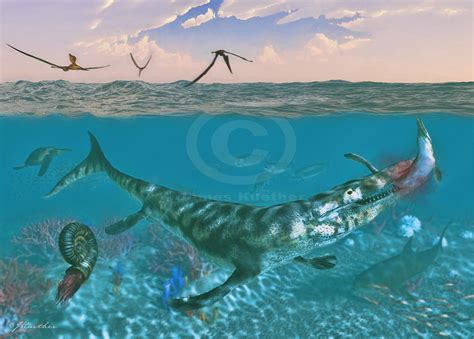 Western Interior Seaway 2 by PaleoGuy on DeviantArt